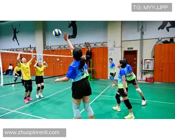 杨丽专访：揭秘排球背后的成功秘诀与成长历程