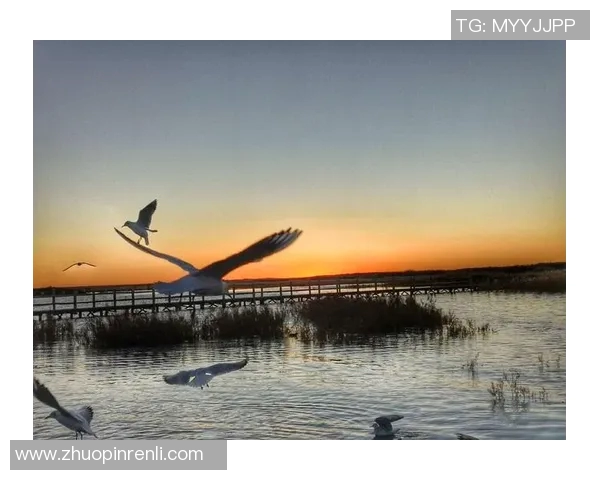 传奇后卫巴雷西的足球生涯与不朽精神解析